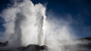 Rotorua - Geyser