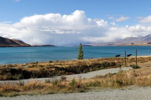 Tekapo