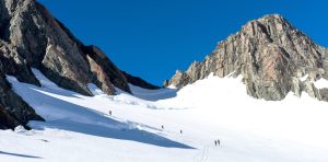 Fox Glacier